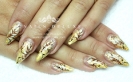Nagelstudio Plauen