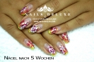 Naildesign Plauen